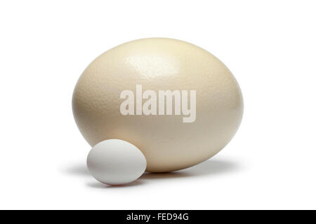 Ostrich egg and chicken egg on white background to compare the size Stock Photo