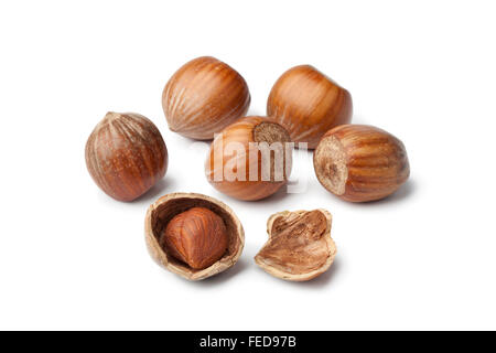 Fresh Hazelnuts and a cracked one on white background Stock Photo