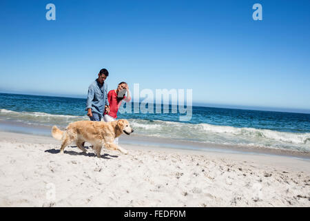 Cute couple walking their dog Stock Photo
