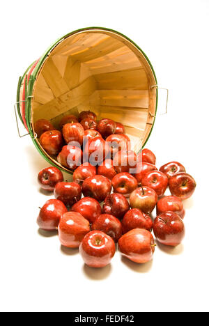 Apples Spilled From Bushel Basket Stock Photo