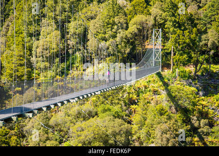 Mountain biker crossing the Maramataha suspension bridge on the Timber Trail in Pureora Forest Park North Island New Zealand Stock Photo