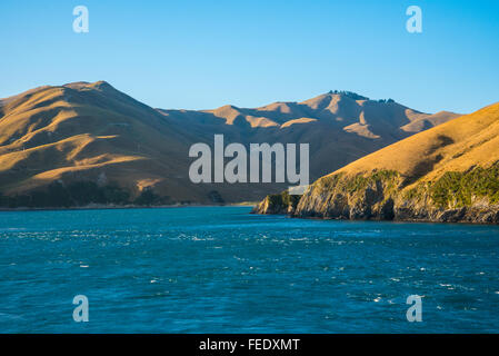 Evening view from deck of a ferry near mouth of Tory Channel Marlborough Sounds New Zealand Stock Photo