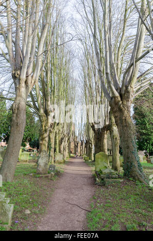 Tree-lined path running through the graveyard of St Nicholas Church in Kenilworth, Warwickshire Stock Photo