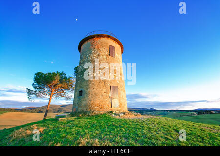 Tuscany, Maremma typical countryside sunset twilight landscape with hills, tree and rural tower. Stock Photo