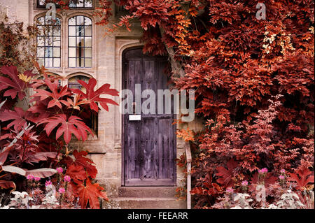 Old wooden door of stone brick house with alternate surreal colored landscape Stock Photo