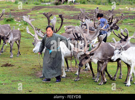 Duhkha (same as Tsaatan) woman with her reindeers Stock Photo
