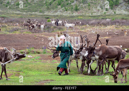 Duhkha (same as Tsaatan) woman with her reindeers Stock Photo