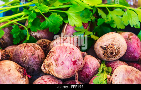 Fresh beets and parsley Stock Photo