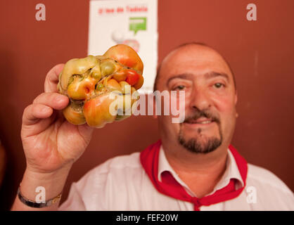 Concurso tomate feo, ugly tomato competition. Tudela. Navarre. Spain Stock Photo