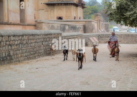 street life in Orchha, Madhya Pradesh, India, South Asia Stock Photo