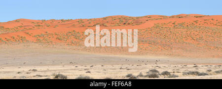 Dune and Oryx panorama from two photos of the Namibrand area in Namibia Stock Photo