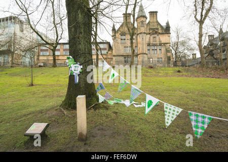 Glasgow, Scotland, UK - 6 February 2016: UK weather - A damp start to the weekend at Glasgow University and Kelvingrove Park where Scotland's Tree of the Year 2016 is now canvassing for votes in the European Tree of the Year Competition.  The Suffragette Oak was planted almost 100 years ago on 20 April 1918 to commemorate the granting of votes to women.  The competition doesn't focus on beauty, size or age but instead on the tree's story and its connection to people. Credit:  kayrtravel/Alamy Live News Stock Photo