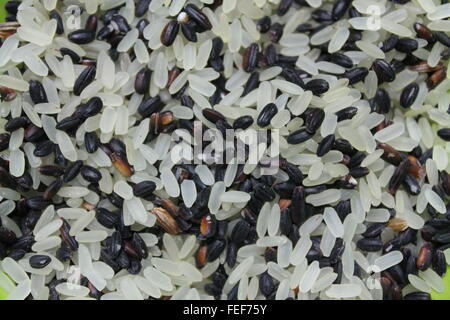white and black seeds of wild rice Stock Photo