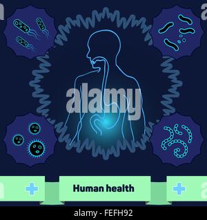 Protection of body against harmful bacteria and microorganisms, a healthy human stomach. Stock Vector