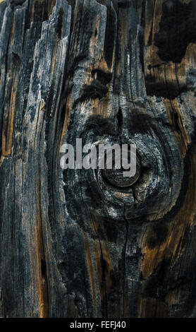 Close up detail shot of a wooden fence. Stock Photo