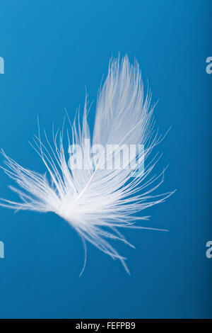 Close-up of white goose down feather floating against a blue sky Stock Photo