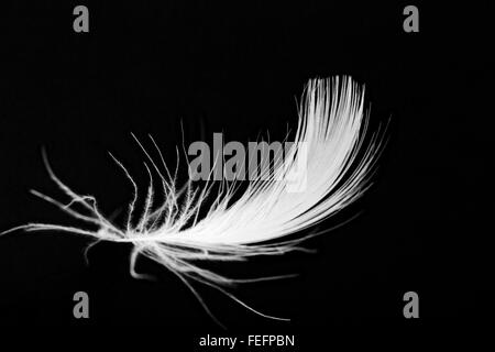 Scale up or down symbol. Concept words Scale up Scale down wooden cubes ...