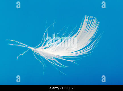 Close-up of white goose down feather floating against a blue sky Stock Photo