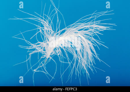 Close-up of white goose down feather floating against a blue sky Stock Photo