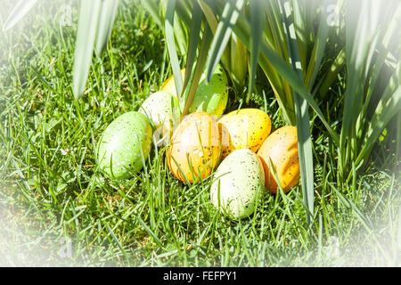 colored Easter eggs hidden in flowers and grass Stock Photo - Alamy