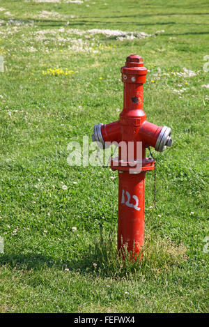 Close-up red fire hydrant in a park of Istanbul, Turkey Stock Photo