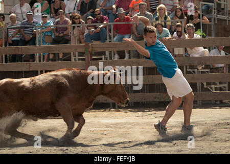 Bullfight in the town square of Igea, La Rioja, Spain Stock Photo