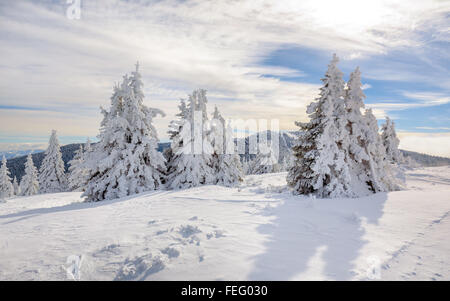 Landscape of the mountain Kopaonik in the winter, Serbia Stock Photo