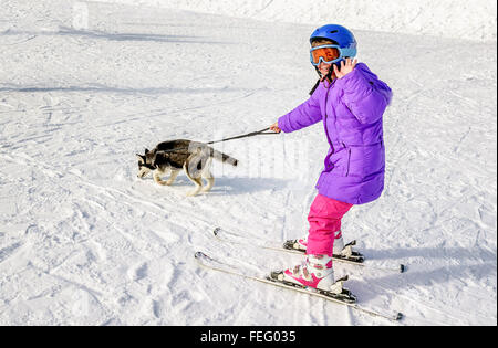 Husky puppy dragging little girl on the snow skiing Stock Photo