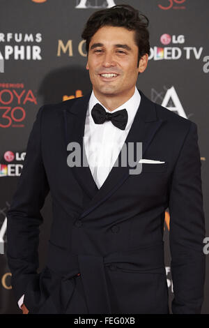 Feb. 6, 2016 - Madrid, Spain - Alex Garcia attends Goya Cinema Awards 2016 at Centro de Congresos Principe Felipe on February 6, 2016 in Madrid, Spain. (Credit Image: © Jack Abuin via ZUMA Wire) Stock Photo