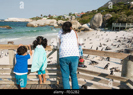 Viewing platform for African Penguins on Boulders Beach, Simon's Town, Cape Peninsula, Western Cape Province, South Africa Stock Photo