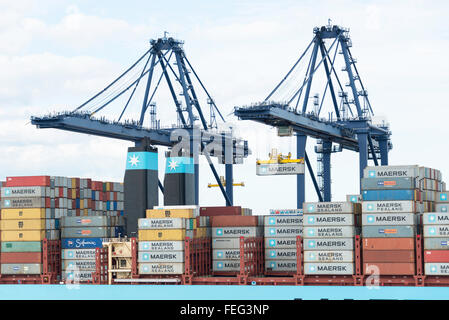 Maersk Line container ship at Container Port of Felixstowe, Essex, England, United Kingdom Stock Photo