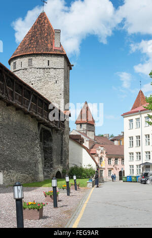 Tallinn, Estonia. The walls and towers of the Old Town of Tallinn, from the  Hellemann Tower. A World Heritage Site Stock Photo - Alamy