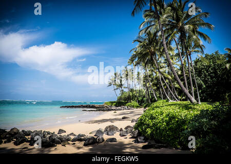 Beach on the island of Maui, Hawaii (USA) Stock Photo