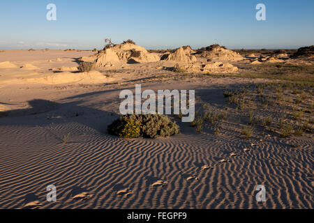 Emu footprints along the Walls of China lunette and dunes along the edge of Lake Mungo National Park New South Wales Australia. Stock Photo
