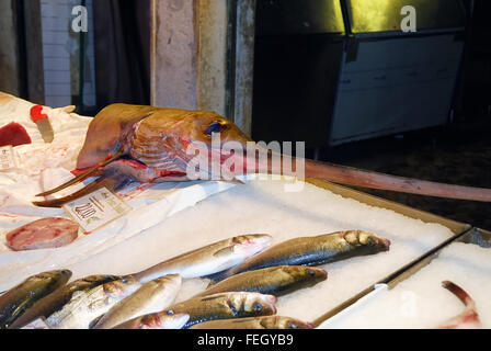 Fish market of Rialto, Venice, a swordfish. Stock Photo