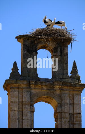 Storks nesting on a church tower. Salamanca. Castilla y Leon, Spain Stock Photo