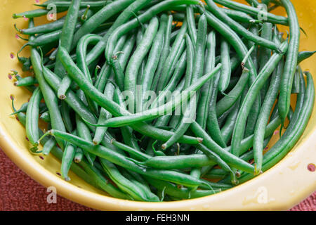 Fresh green beans in colander Stock Photo