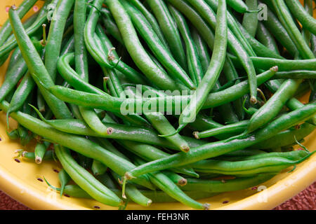 Fresh green beans in colander Stock Photo