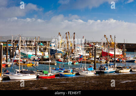 An assortment of different colours and sizes of fishing boats in Newlyn harbour, Cornwall, England, UK Stock Photo