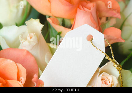 roses with empty white tag Stock Photo