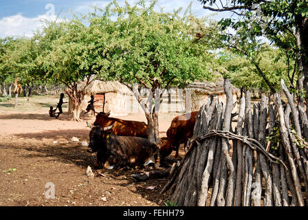 Himba village with traditional huts near Etosha National Park in Namibia, Africa Stock Photo