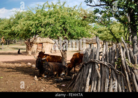 Himba village with traditional hut near Etosha National Park in Namibia, Africa Stock Photo