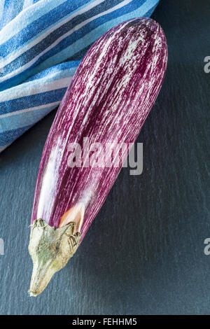 Aubergines striped on a plain background Stock Photo