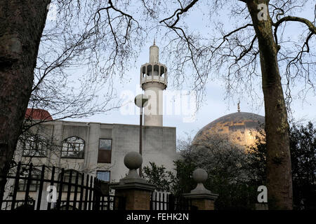 A general view of the London central mosque Stock Photo