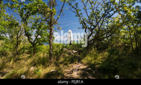 White lighthouse in the bright sunlight behind trees in the Stenshuvud National Park on the Baltic Coast of Skane, south Sweden Stock Photo