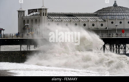 Brighton UK 8th February 2016- as Storm Imogen batters the south coast today with the weather forecast predicting wind speeds of up to 90 mph causing widespread flooding and damage  Credit:  Simon Dack/Alamy Live News Stock Photo