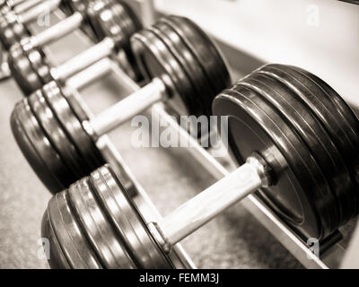 Dumbbell free weights on a rack at a health club gym Stock Photo