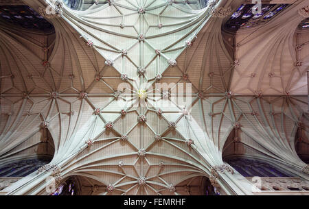 Vaulted ceiling of St Patrick's Cathedral, Manhattan, New York City, USA Stock Photo
