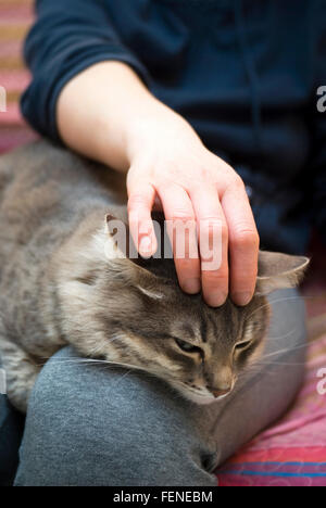 Woman caressing her cat at home Stock Photo