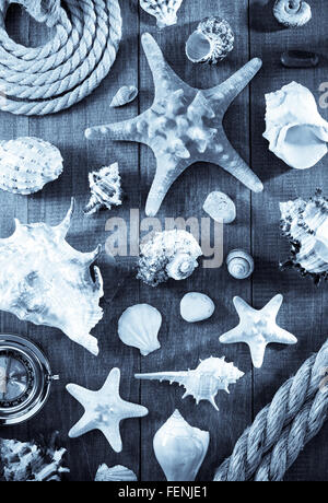 seashell on wooden background texture Stock Photo